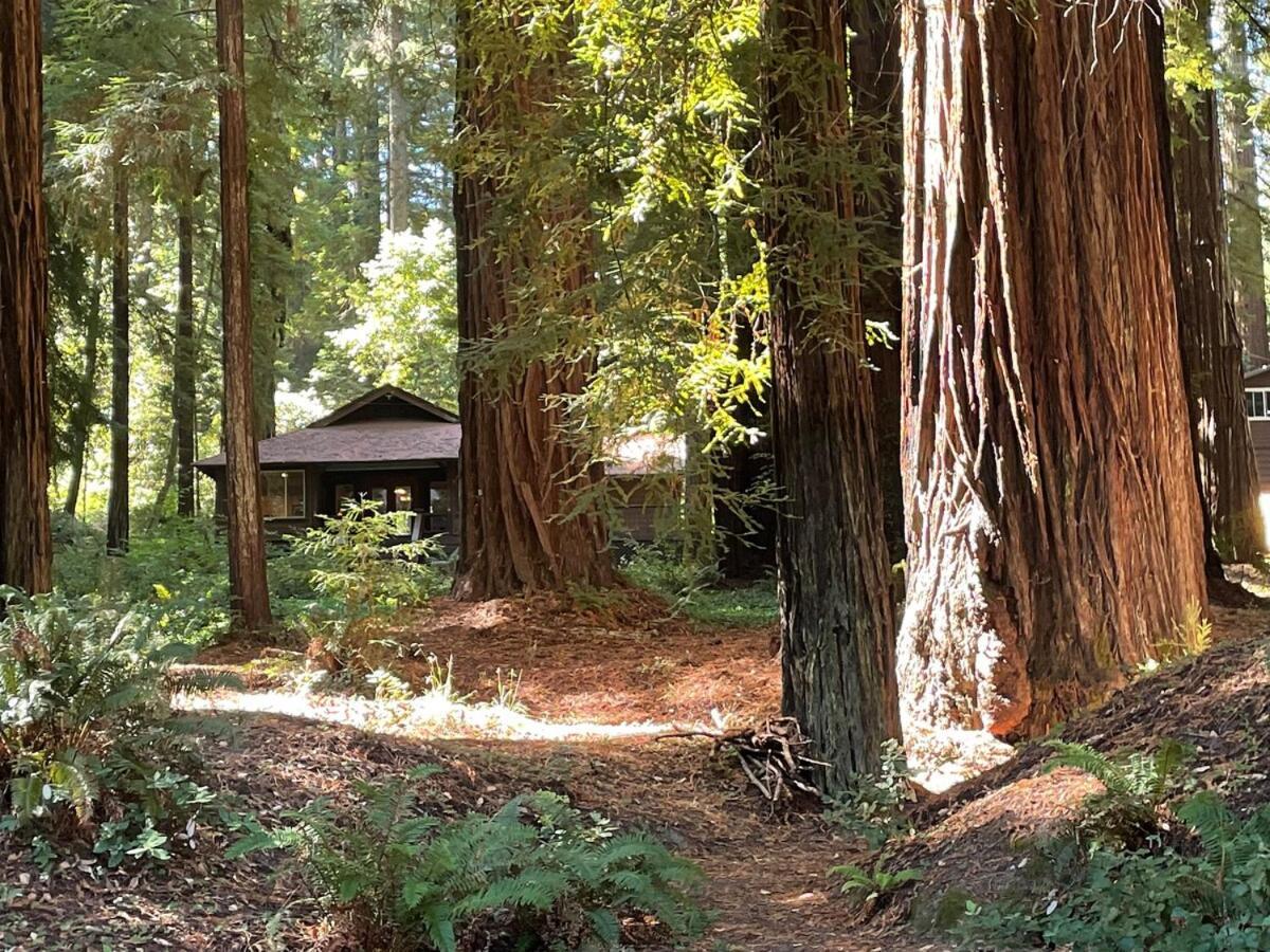 The Groves At -