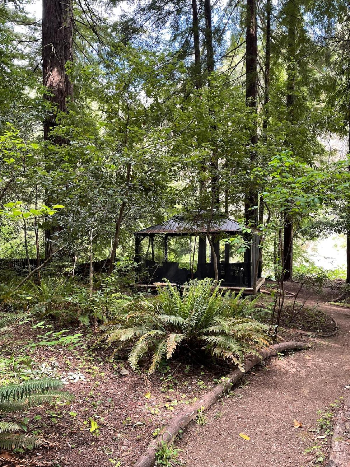 The Groves At -